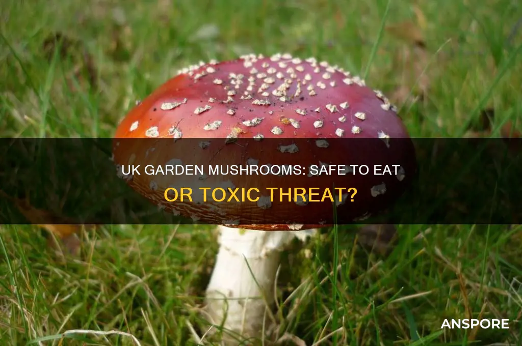 can i eat the mushrooms growing in my garden uk