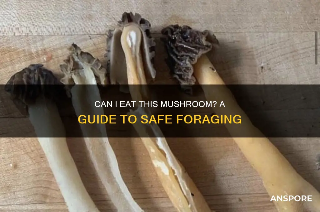 can i eat this mushroom
