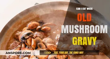 Is Week-Old Mushroom Gravy Safe to Eat? Tips and Risks