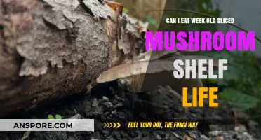 Week-Old Sliced Mushrooms: Safe to Eat or Toss Out?