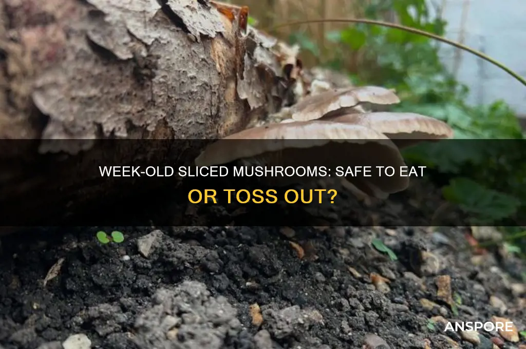 can i eat week old sliced mushroom shelf life