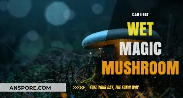 Can You Safely Consume Wet Magic Mushrooms? Risks Explained