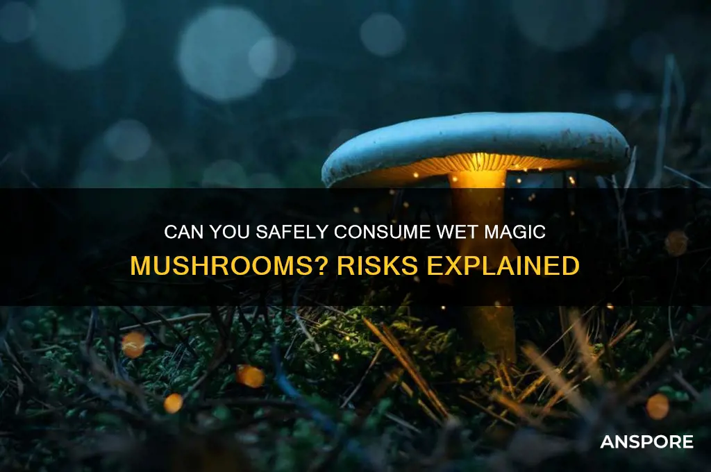 can i eat wet magic mushrooms