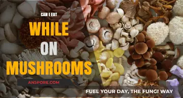 Eating on Mushrooms: What’s Safe and What to Avoid