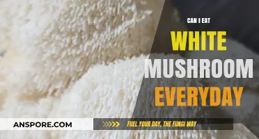 Daily White Mushrooms: Are They a Healthy Everyday Food Choice?