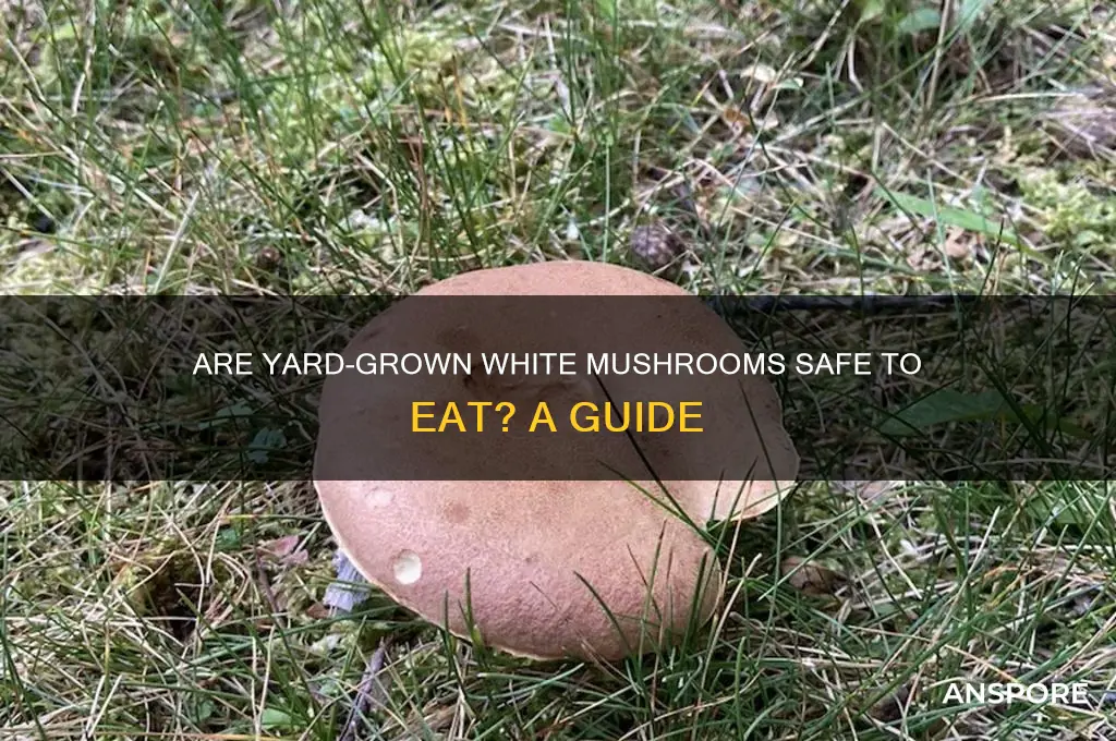 can i eat white mushrooms in my yard