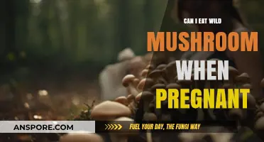 Pregnancy and Wild Mushrooms: Safe or Risky to Eat?