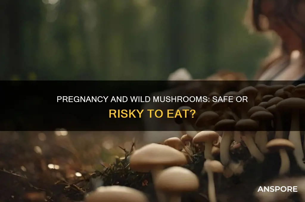 can i eat wild mushrooms when pregnant