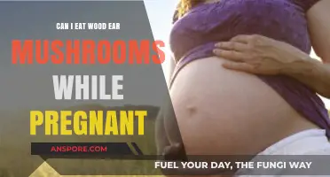 Pregnancy and Wood Ear Mushrooms: Safe to Eat or Not?