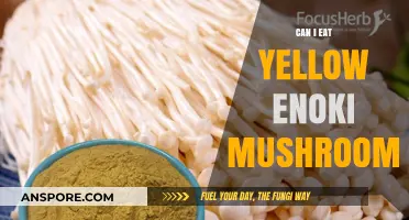 Can You Safely Eat Yellow Enoki Mushrooms? A Quick Guide