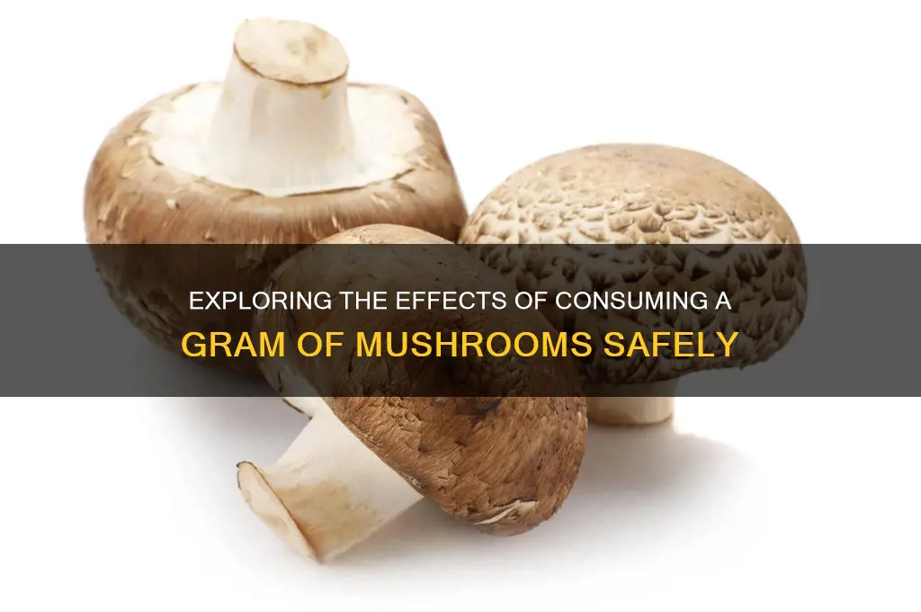 can i eating a gram of mushrooms