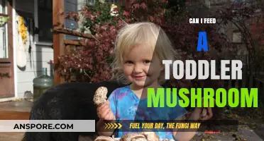 Are Mushrooms Safe for Toddlers? A Parent's Feeding Guide