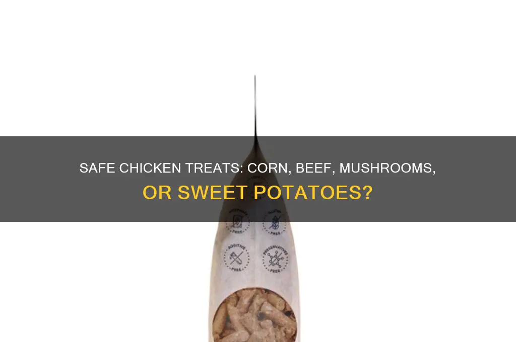 can i feed chickens cornd beef mushrooms or sweet potatoes