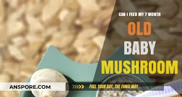 Feeding Mushrooms to Your 7-Month-Old Baby: Safe or Risky?