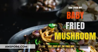 Fried Mushrooms for Babies: Safe or Risky Feeding Choice?