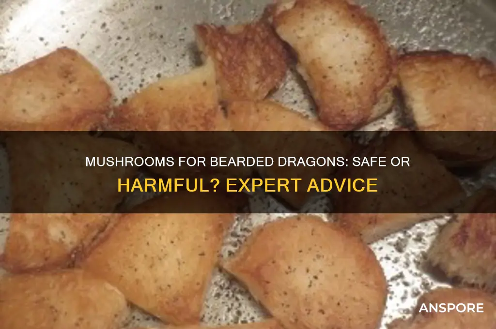 can i feed my bearded dragon mushrooms