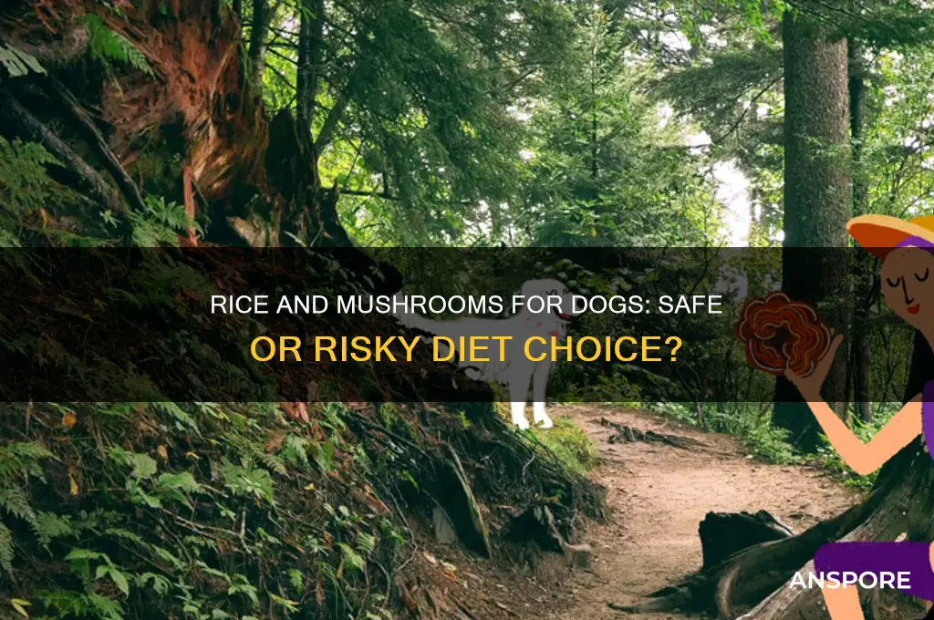 can i feed my dog rice and mushrooms
