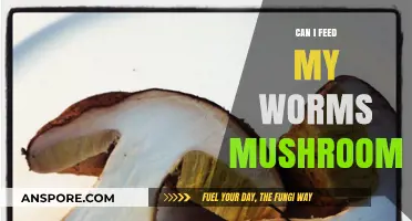 Can Worms Eat Mushrooms? A Guide to Safe Worm Feeding