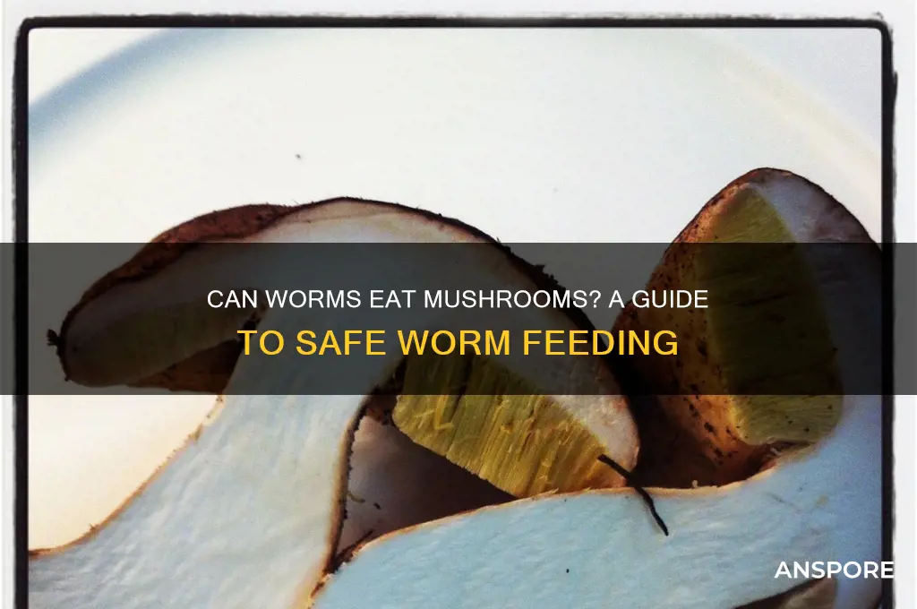 can i feed my worms mushrooms
