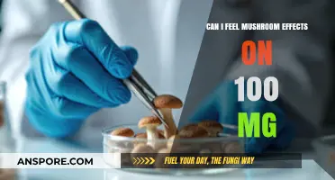 Exploring Mushroom Effects: What to Expect from 100mg Doses