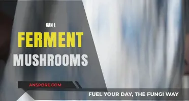 Fermenting Mushrooms: A Guide to Safe and Tasty Fungal Fermentation