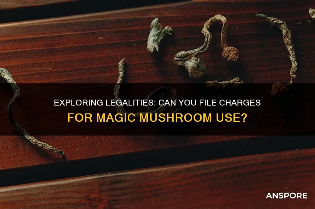 can i fie from magic mushrooms