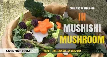 Purple Corn in Mushishi Mushroom: Myth or Reality?