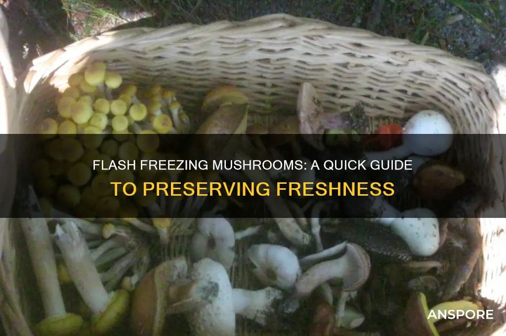 can i flash freeze mushrooms