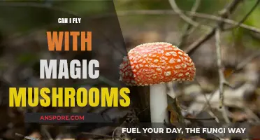 Flying with Magic Mushrooms: Legal Risks and Travel Tips