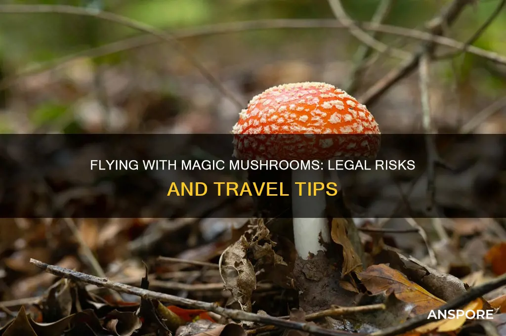 can i fly with magic mushrooms