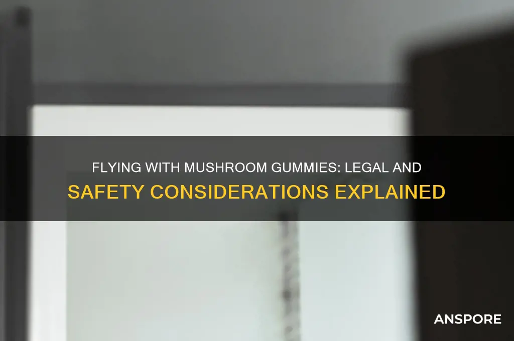 can i fly with mushroom gummies