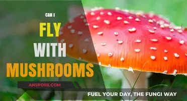 Flying with Mushrooms: Legalities, Risks, and Travel Tips Explained