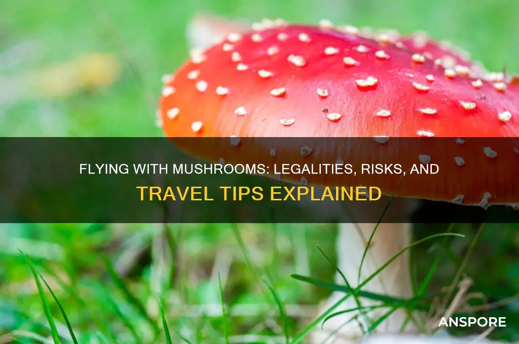 can i fly with mushrooms