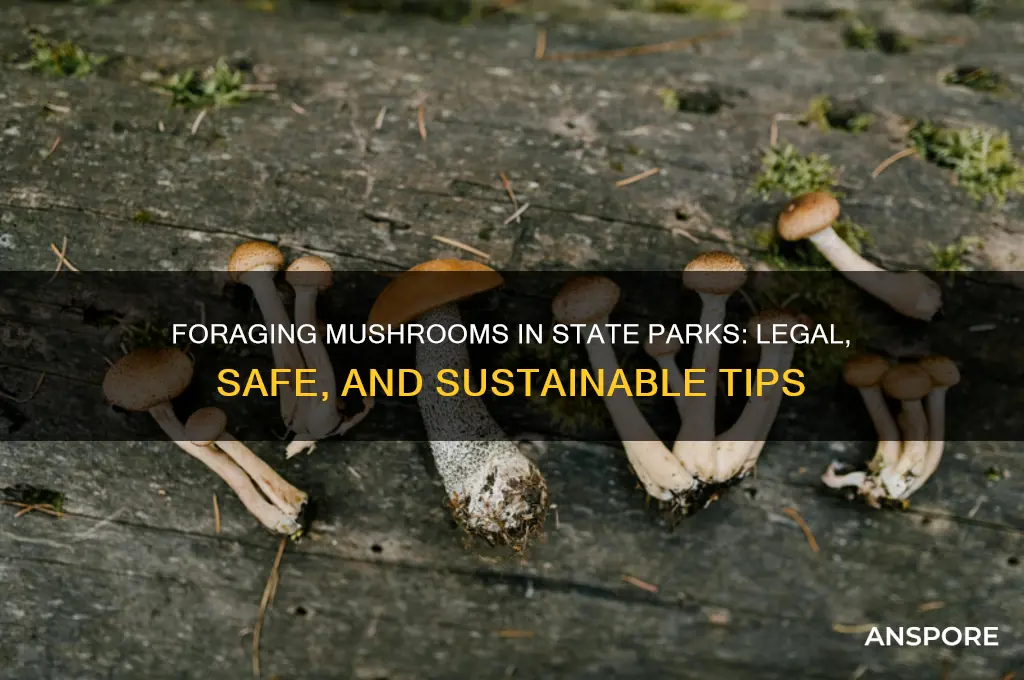 can i forage mushroom in state park