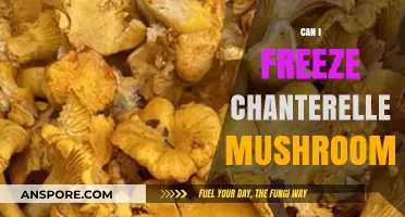 Freezing Chanterelle Mushrooms: A Guide to Preserving Their Flavor and Texture