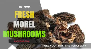 Freezing Fresh Morel Mushrooms: A Guide to Preserving Their Delicate Flavor