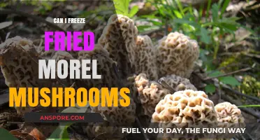 Freezing Fried Morel Mushrooms: Tips for Preserving Their Flavor and Texture