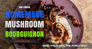 Freezing Homemade Mushroom Bourguignon: Tips for Perfect Preservation