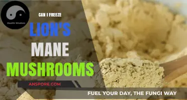 Freezing Lion's Mane Mushrooms: A Complete Guide to Preservation