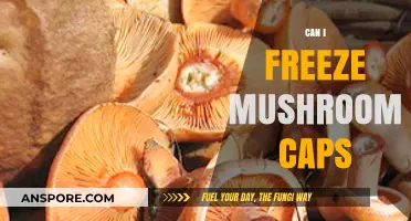 Freezing Mushroom Caps: A Handy Guide to Preserve Freshness
