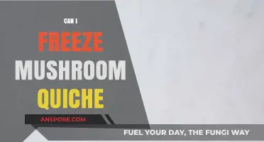 Freezing Mushroom Quiche: Tips for Perfect Storage and Reheating