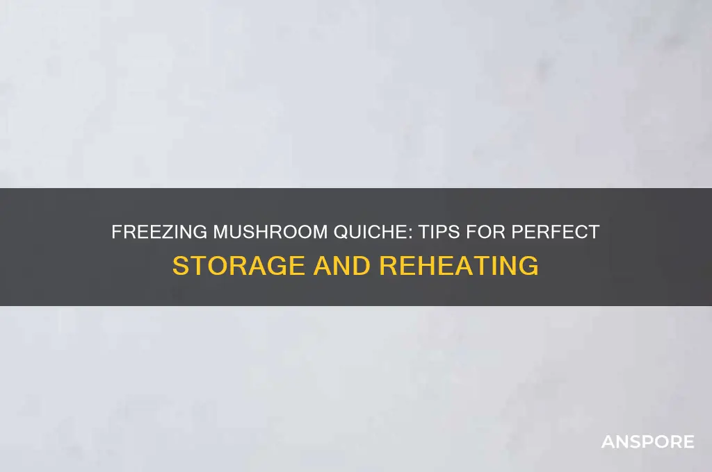can i freeze mushroom quiche