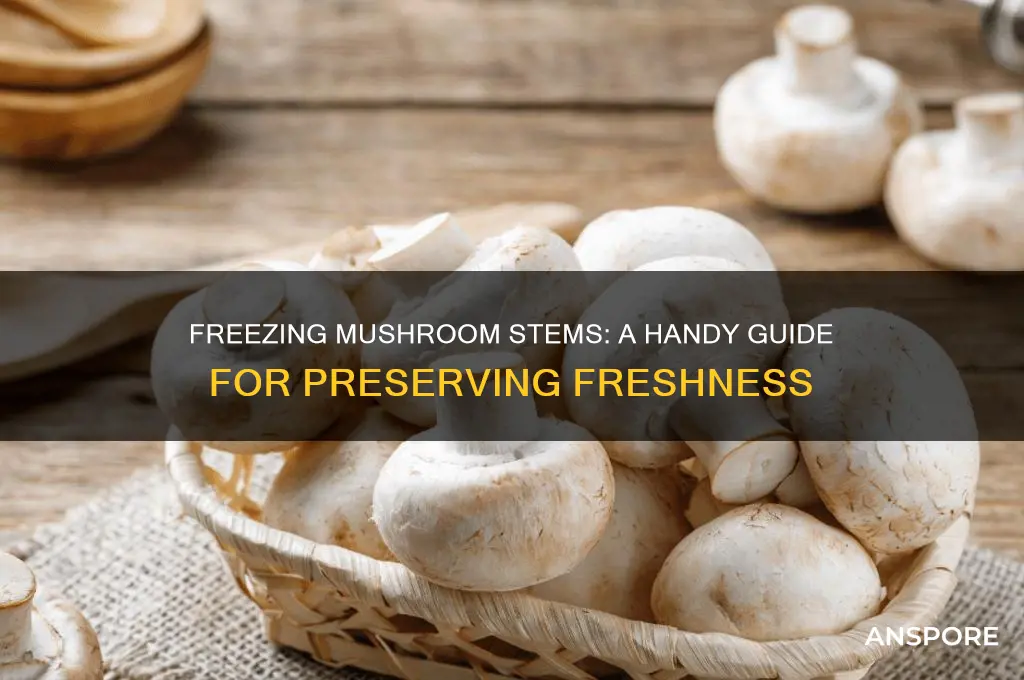 can i freeze mushroom stems