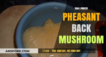 Freezing Pheasant Back Mushrooms: Tips for Preserving Freshness and Flavor