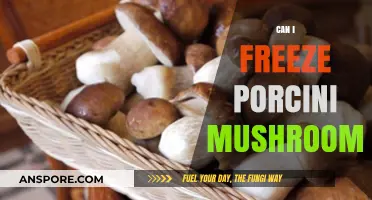 Freezing Porcini Mushrooms: A Guide to Preserving Their Flavor and Texture