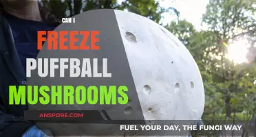 Freezing Puffball Mushrooms: A Complete Guide to Preservation and Storage