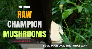 Freezing Raw Champignon Mushrooms: A Complete Guide to Preservation