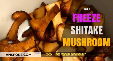 Freezing Shiitake Mushrooms: Tips for Preserving Flavor and Freshness