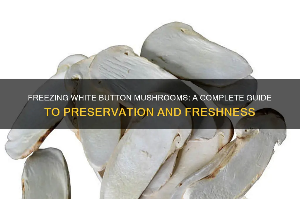 can i freeze white button mushrooms