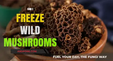 Freezing Wild Mushrooms: A Guide to Safe Preservation and Storage